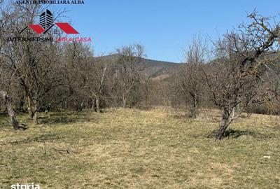 Casă cu 4 camere cu Teren 7701 Mp în Vințu de Jos - 9