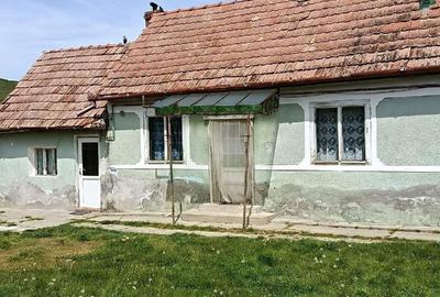 Casă cu 4 camere cu Teren 100 Mp în Cenade - 3