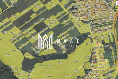 Teren Construcții intravilan de 8300 mp, în Șelimbăr - 3