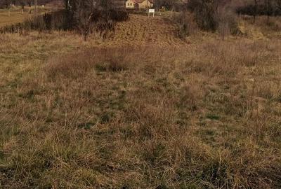 Teren de 734 mp, în Plugova - 5