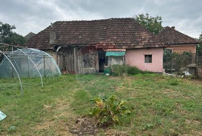 Casă cu 3 camere cu Teren 3027 Mp în Lăpuș - 6