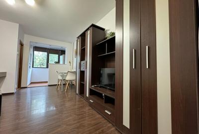 Garsonieră, mobilată în Costin Georgian - 2