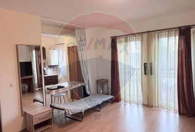 Apartament cu 2 camere de inchiriat Muzeul Apei, Floresti - 4