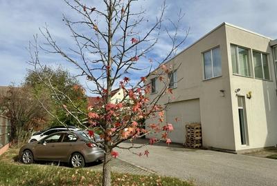 Clădire SAD de închiriat, situată la intrarea în Dumbrăvița - 25