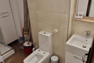 Apartament cu 3 camere decomandat, mobilat în Lujerului - 19