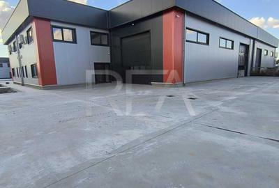 Spațiu industrial, de 440 mp, în Domnești - 2