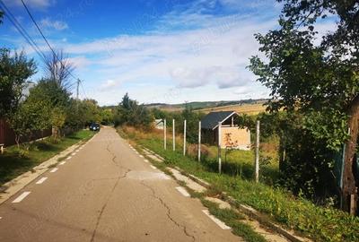 Casă cu 2 camere cu Teren 1154 Mp în Schitu Duca - 7