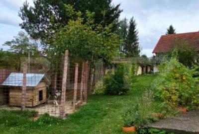 Casa deosebita, 3000 mp teren, 6 camere zona linistita - Bar - 7