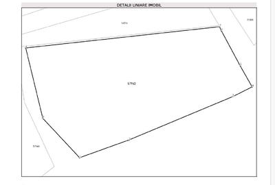 🌲 Teren 3600 mp langa Piatra Neamț, la asfalt, utilitati - 9