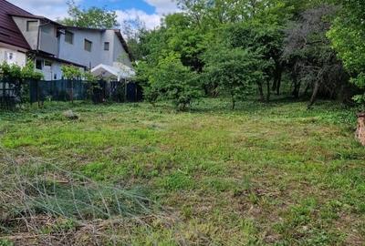 Teren intravilan de vânzare – Pitești, Str. Războieni nr. 57 – 1.264 mp | Toate - 3