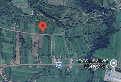 Teren de 3000 mp, în Exterior Vest - 4