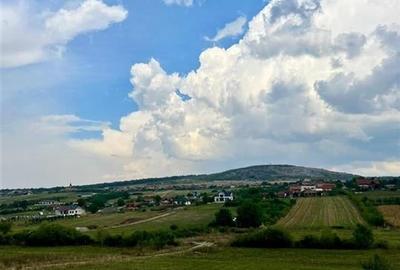 RECO teren de vanzare in zona Betfia - 6