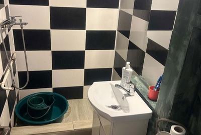 Apartament cu 2 camere decomandat în Valea Rosie - 4