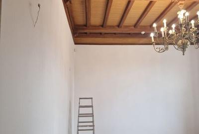 Zona Piata Romana Parcul Icoanei S+P+1 supr utila 700 mp ... - 2