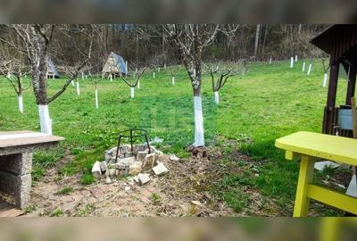 Casă cu 4 camere cu Canalizare în Micești - 29