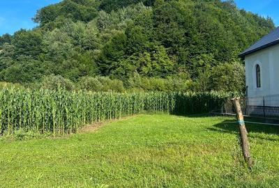 Casă cu 2 camere în Molișet - 7