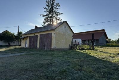 Casă cu 4 camere cu Teren 350 Mp în Mașloc - 5