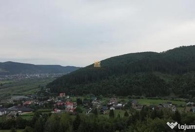 Teren de 5023 mp, în Voroneț - 9