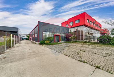 Hala industriala de vanzare in zona Micalaca - 1
