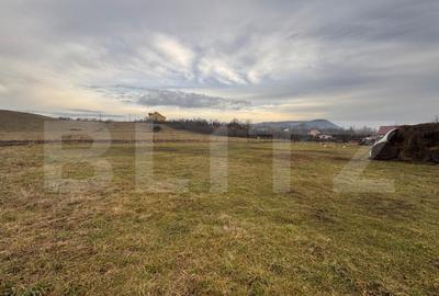 Teren Intravilan 2800 mp, zona Sieu Sfantu - 4