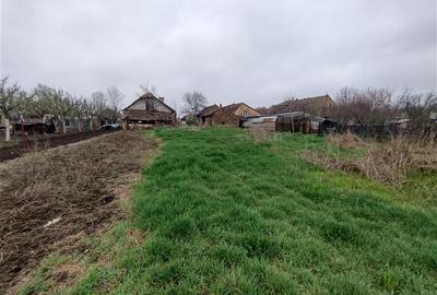 Casă individuală cu 4 camere cu Teren 1798 Mp în Iecea Mare - 5