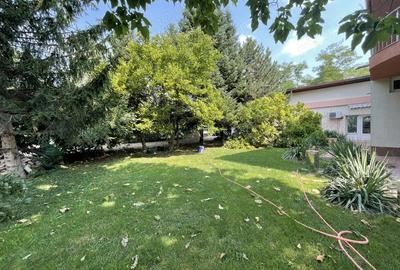 VOLUNTARI - Catedrala | Casa 7 Camere + Constructie Secundara - 20