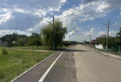 Teren intravilan 3474 mp Bradu-Auchan - 3