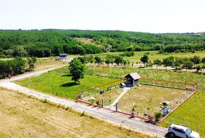 Teren Construcții intravilan de 500 mp, în Sud - 2