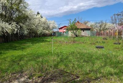 Teren de 753 mp, în Snagov - 4