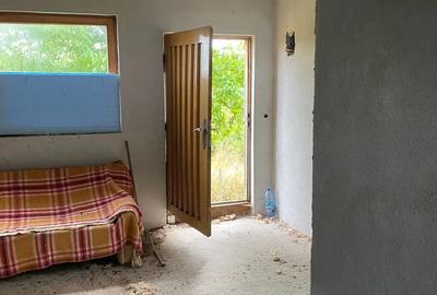 Casa de vacanta 60km de Timisoara - 3