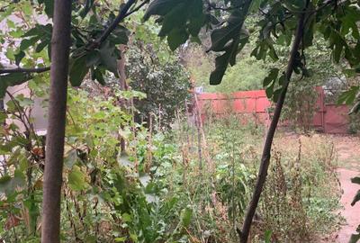 Vanzare  Casa Voluntari 95000eur-Casa Pipera 155 000eur-Casa+teren 490 000eur - 21