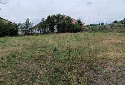 Casa ?i gradina 2100 mp - 2