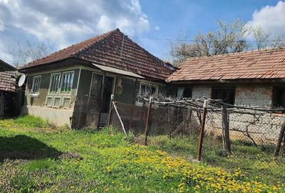 Casă cu Teren 1255 Mp în Săcelu - 1