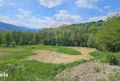 Teren de 2910 mp, în Hangu - 13