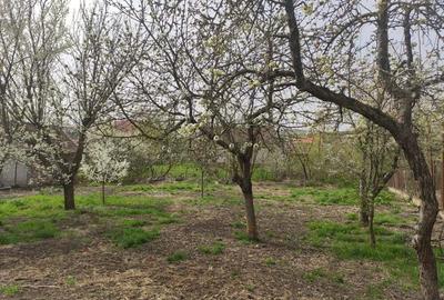 Casa de vanzare Casa de vanzare - 10