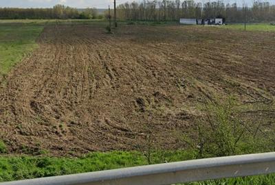 Teren de 7500 mp, în Cernele - 7