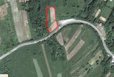 Teren Construcții extravilan de 5000 mp, în Măgura - 1