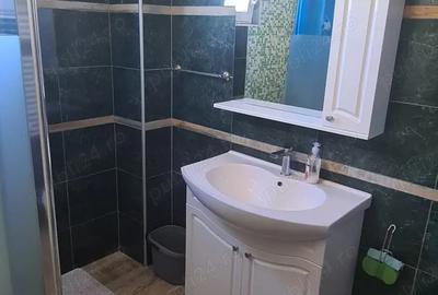 Apartament 2 camere Fratii Golesti Apartament 2 camere Fratii Golesti - 5