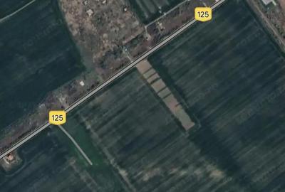 Teren de 10587 mp, în Clinceni - 3