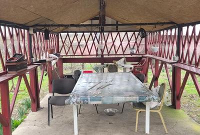 Casă cu 4 camere în Valea Bujorului - 8