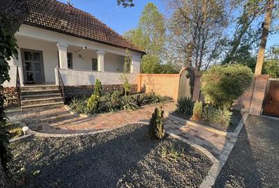 Vand superba casa in BACIA , teren de 2000 mp - 2