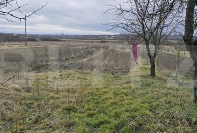 Teren de 1996 mp, în Viile Satu Mare - 11