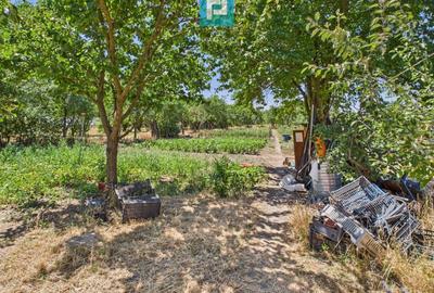 Casă cu 4 camere și teren de 1450 mp în Aradul Nou - 3