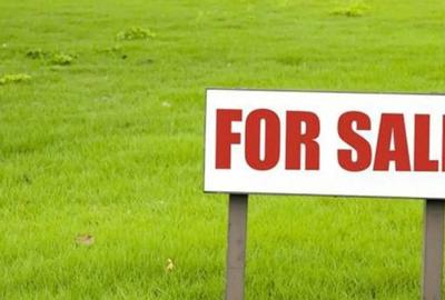 Teren de 2600 mp, în Rădăuți