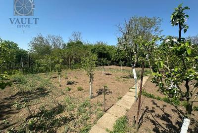 Casa -  Mogosoaia - Individuala - - 13