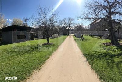 Teren de 5300 mp, în Voinești - 2