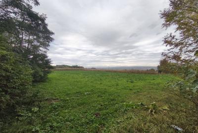 Casă cu 2 camere cu Teren 3000 Mp în Central - 9