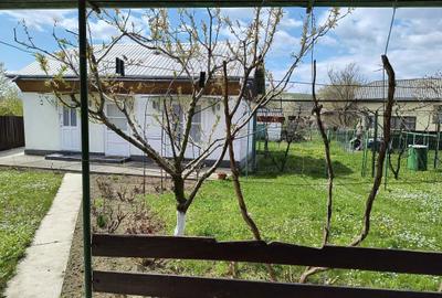 Casă cu 3 camere în Central - 2