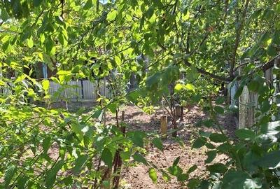 Vând casă + teren agricol Vând casă + teren agricol - 5