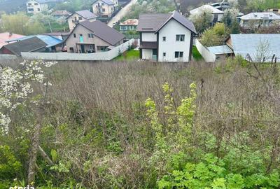 Spațiu comercial, în Valea Lupului - 3